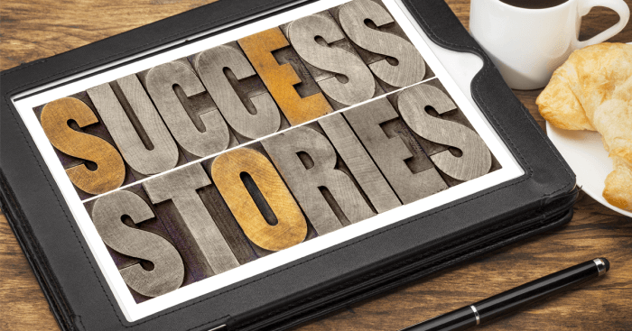 Fictional success stories